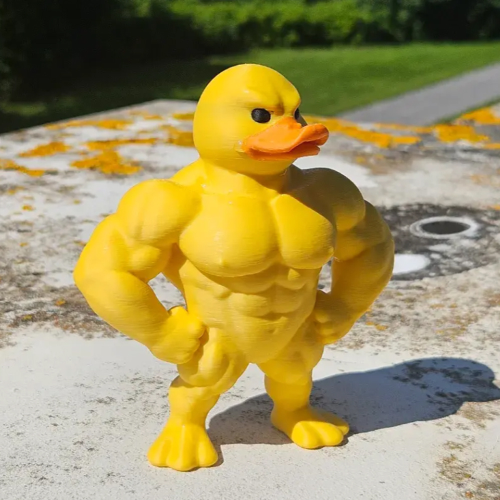 Art Craft Duck - Muscle Duck Statue -3D Desktop Decor,Cute
