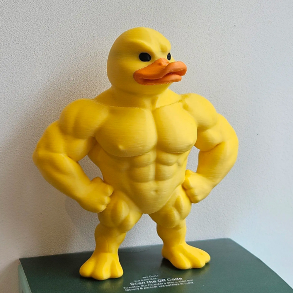 Muscle Duck Statue -3D Desktop - Art Craft Duck 评论和价格