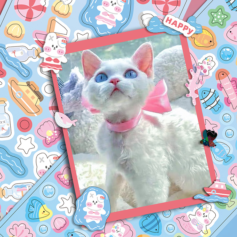 MOHAMM 12 Sheets Glitter Laser - Art Craft 6 Year Old 评论和价格