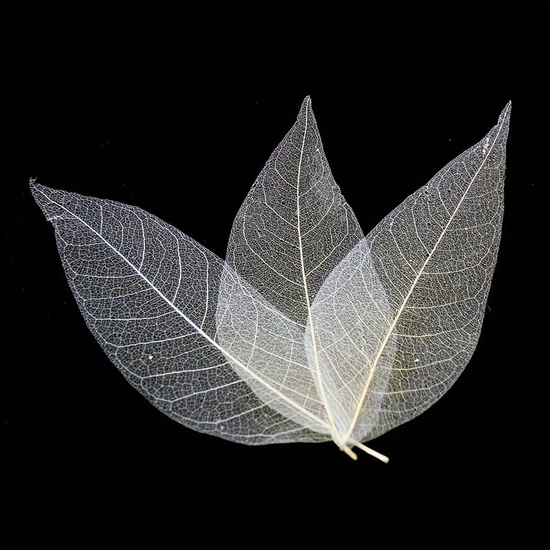 10pcs Art Deco Wooden Leaf Vei - Art Craft Leaves 评论和价格