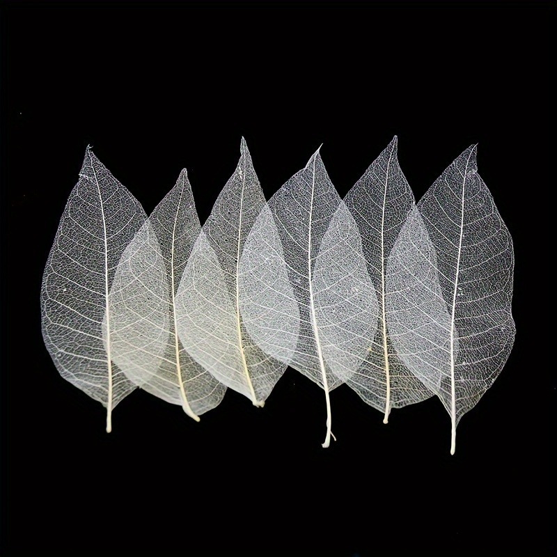 10pcs Art Deco Wooden Leaf Vei - Art Craft Leaves 评论和价格