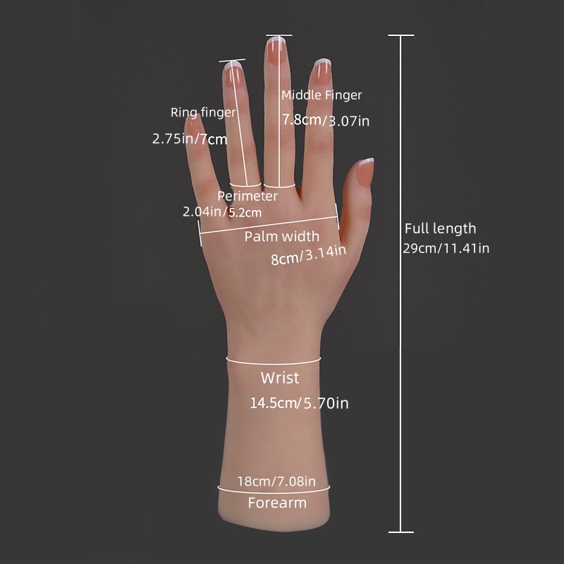 Realistic Silicone Replica of  - Art Craft Display 评论和价格