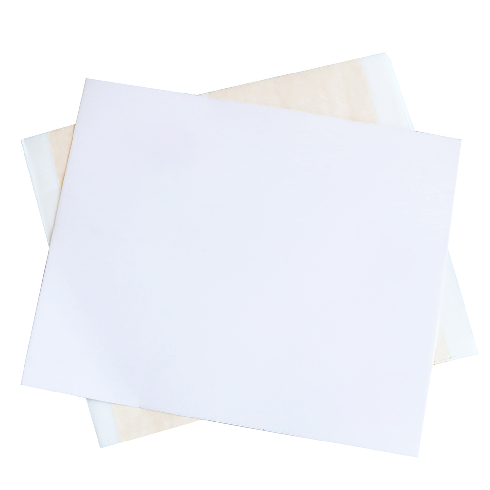 13x13.5cm Champagne Silver Foi - Art Craft Leaves 评论和价格