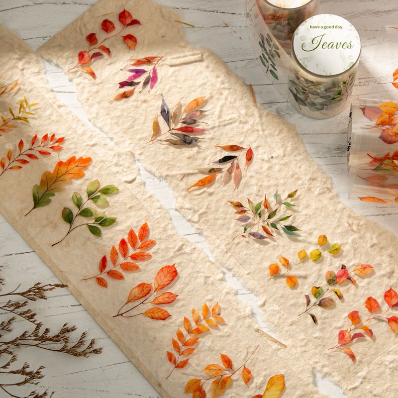6 Rolls of 6Cm×200Cm Fallen Le - Art Craft Using Leaves 评论和价格