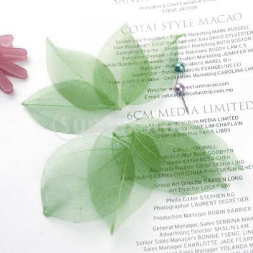 Natural Catbrier Skeleton Leav - Art Craft Leaves 评论和价格