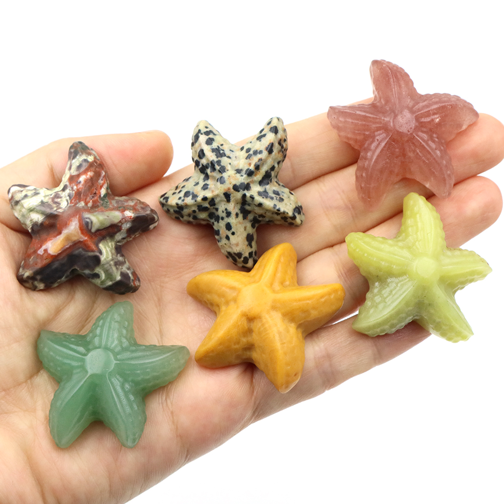 35mm Starfish Shape Statue Mar - Art Craft Activity 评论和价格